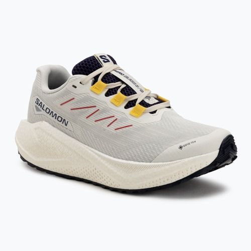 Dámske bežecké topánky Salomon Aero Blaze 3 Gravel GTX vanilla ice/astral aura/lemon