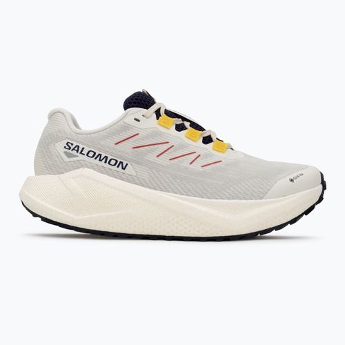 Dámske bežecké topánky Salomon Aero Blaze 3 Gravel GTX vanilla ice/astral aura/lemon