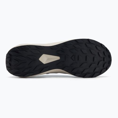Buty do biegania meskie Salomon Alphaglide GTX blue night/lunar rock/french blue