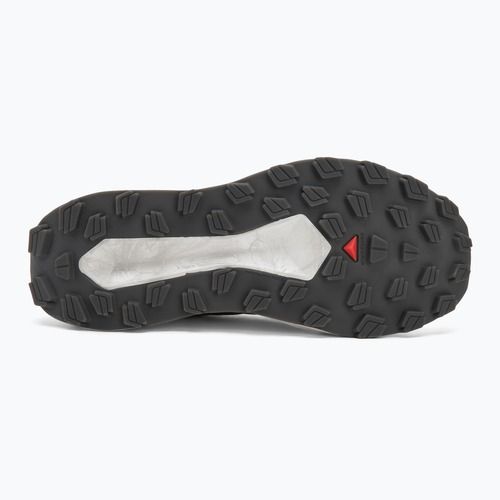 Pánske bežecké topánky Salomon Vision vanilla ice/lunar/rock/black