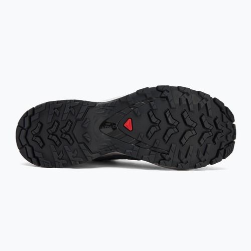 Pánske bežecké topánky Salomon XA Pro 3D V9 black/gull/excalibur