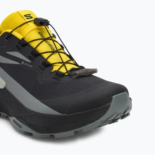 Pánske bežecké topánky Salomon Genesis GTX black/sedona sage/incaberry