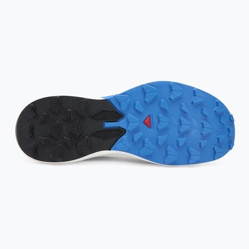 Pánske bežecké topánky Salomon Pulsar lunar rock/white/french blue