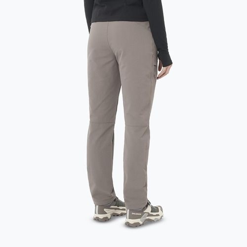 Dámske trekingové nohavice Salomon Wayfarer Warm iron
