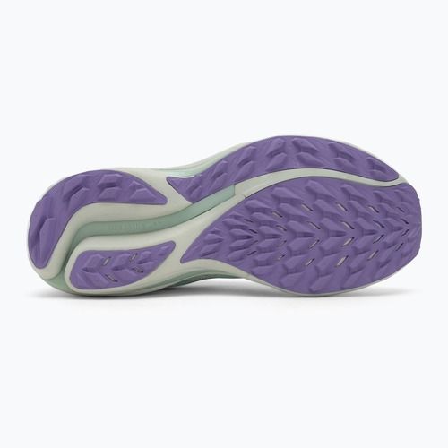 Dámske bežecké topánky Mizuno Wave Rider TT 2 bay/hint of mint/paisley purple