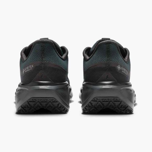 Pánske bežecké topánky Nike Pegasus 41 GTX black/anthracite/black