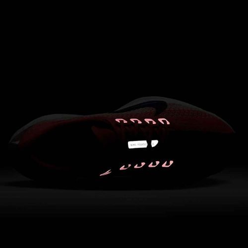 Dámske bežecké topánky Nike Pegasus Plus bright crimson / deep royal blue / silt red