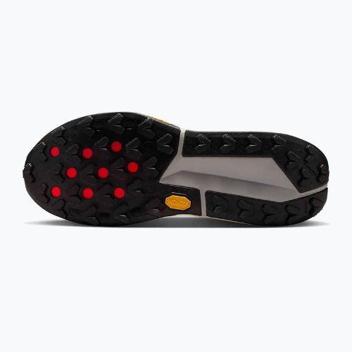 Pánske bežecké topánky Nike Zegama 2 fir/desert ochre/college grey/sail