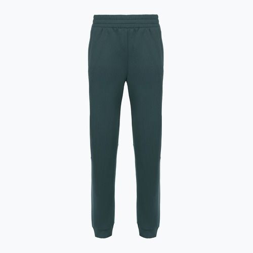 Dámske nohavice The North Face Mountain Athletics Fleece deep cypress/space