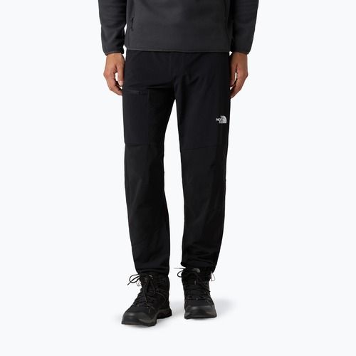 Pánske softshellové nohavice The North Face Speedlight Regular black