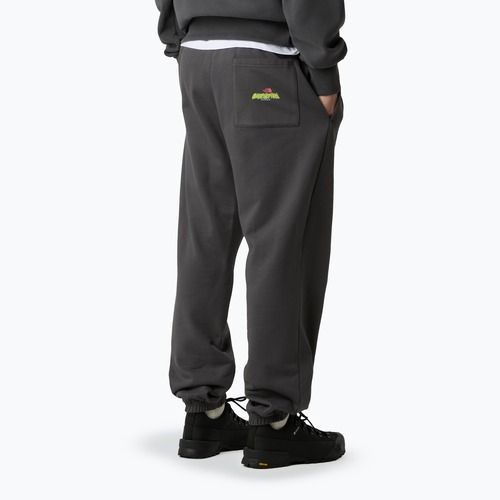 Pánske nohavice The North Face Expedition Celebration Relaxed Jogger Reg anthracite grey