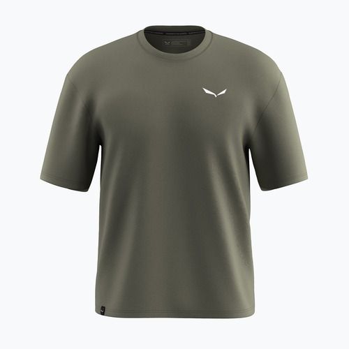 Pánske tričko Salewa Eagle Glacier Loose faded green