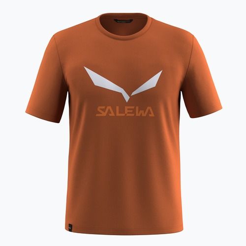 Pánske tričko Salewa Solidlogo Dry Bombay Brown