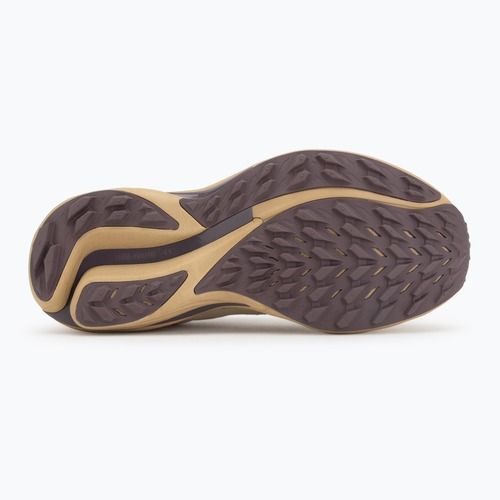 Dámske bežecké topánky Mizuno Wave Rider TT 3 Curds & Whey/Summer Sand/Moonscape