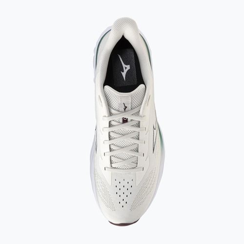 Pánske bežecké topánky Mizuno Wave Skyrise 7 snow white/north sea/summer sand