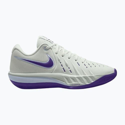 Pánske basketbalové topánky Nike G