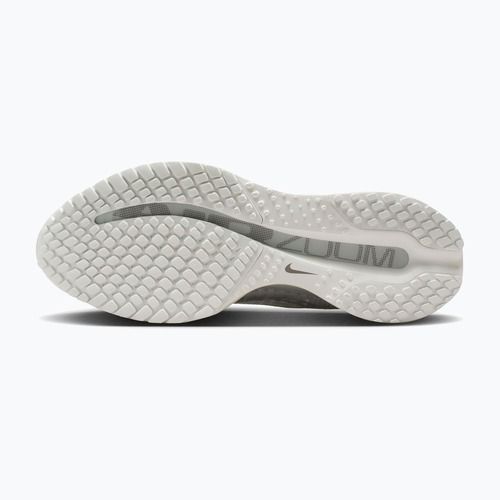 Dámske bežecké topánky Nike Pegasus Premium ESS summit white/pure platinum/white