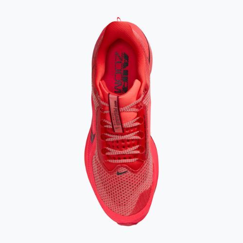 Pánske bežecké topánky Nike Pegasus Premium light crimson/bright crimson/black/team red
