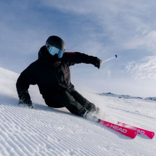 Zjazdové lyže HEAD WC Rebels e-Race Pro RP WCR 14 + viazania Freeflex 14 GW 75 Years pink