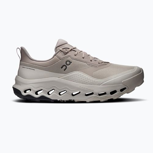 Pánske turistické topánky On Running Cloudhorizon 2 Waterproof cinder/truffle