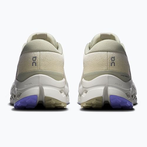 Pánske bežecké topánky On Running Cloudsurfer Trail 2 Waterproof ghost/chalk