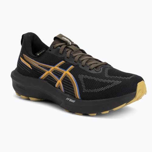 Pánske bežecké topánky ASICS GT-1000 14 GTX black/dark cobalt