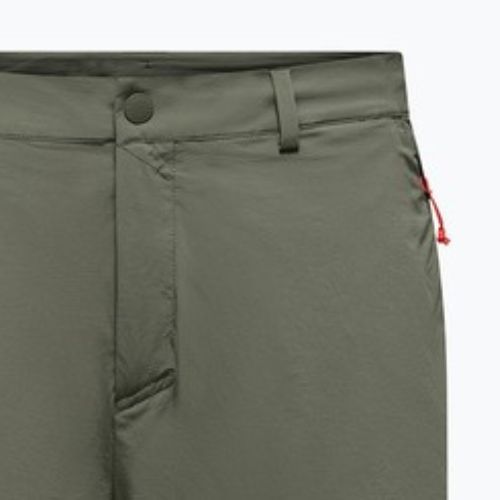 Pánske trekingové šortky Salewa Puez Talveno DST faded green