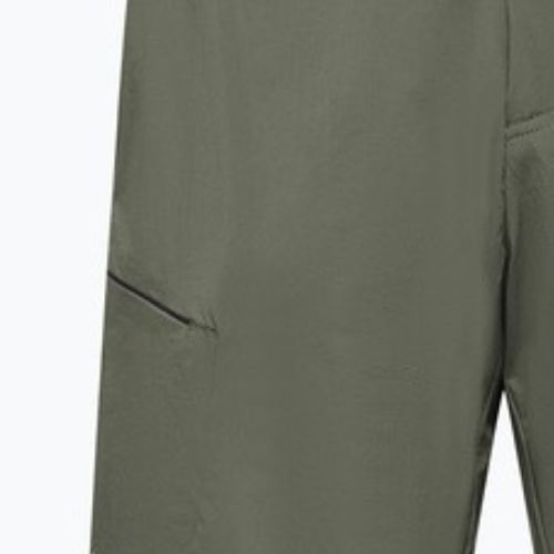 Pánske trekingové šortky Salewa Pedroc 4 DST Cargo faded green
