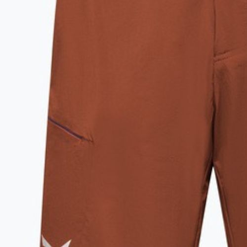 Pánske trekingové šortky Salewa Pedroc 4 DST Cargo bombay brown/0910