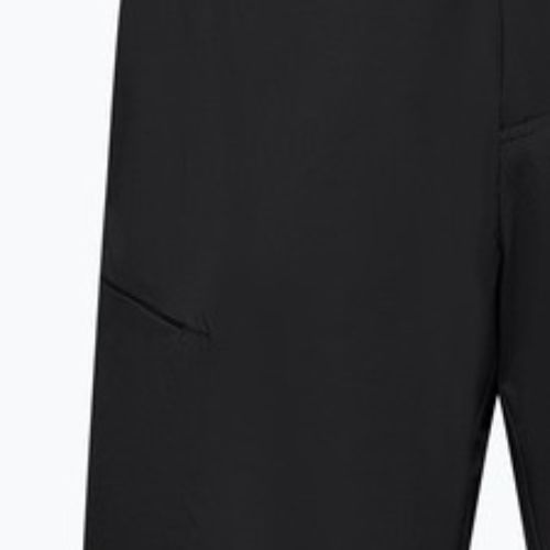 Pánske trekingové šortky Salewa Pedroc 4 DST Cargo black out