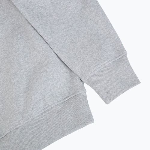 Mikina The North Face Celebration Relaxed Crew Graphic tnf light grey heather