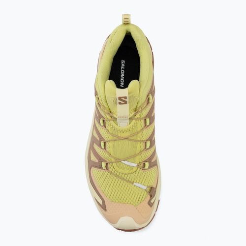 Dámske bežecké topánky Salomon XA Pro 3D V9 endive/burro/almond cream