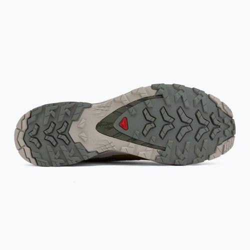 Pánske bežecké topánky Salomon XA Pro 3D V9 sedona sage/plantation/paloma