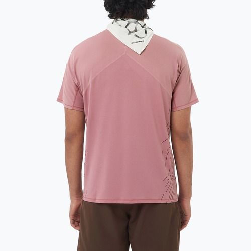 Pánske bežecké tričko Salomon Sense Aero SS Tee GFX dusky orchid