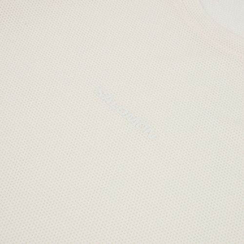 Pánske bežecké tričko longsleeve Salomon Shakeout Core whisper white