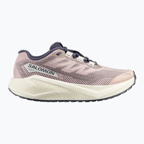 Dámske bežecké topánky Salomon Aero Blaze 3 GRVL shadow gray/vanilla ice/9iron