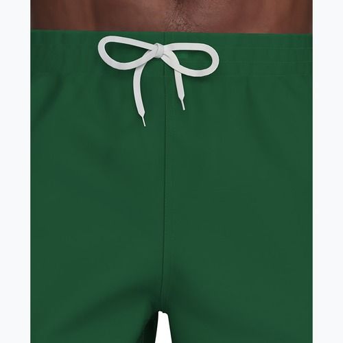 Pánske plavkové šortky Nike Lap Logo 5" Volley malachite