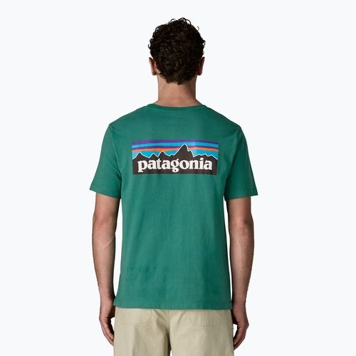 Pánske tričko Patagonia P-6 Logo gem green