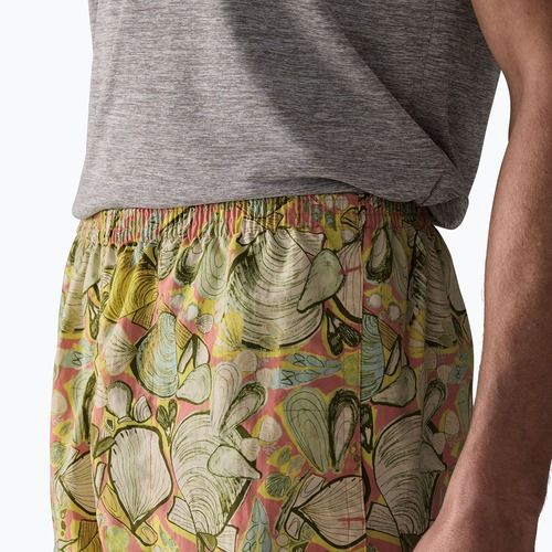 Pánske šortky Patagonia Baggies 5" shelly shelly/mellow melon
