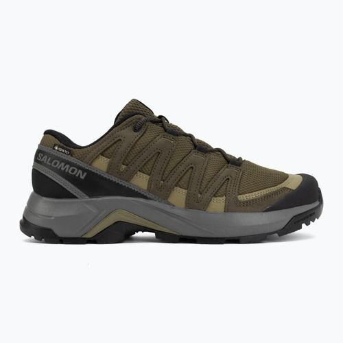Pánske trekingové topánky Salomon X-Adventure Recon Waterproof olvnig/martini