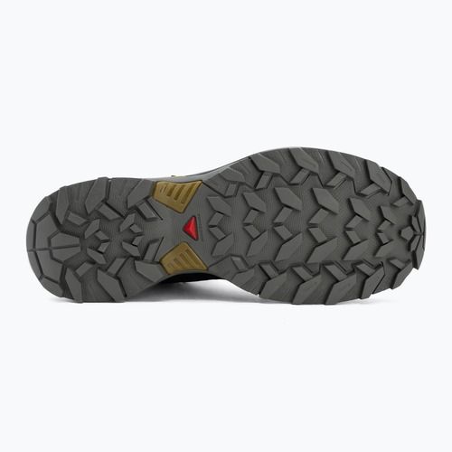 Pánske trekingové topánky Salomon X Ultra 360 MID GTX urban chic/black