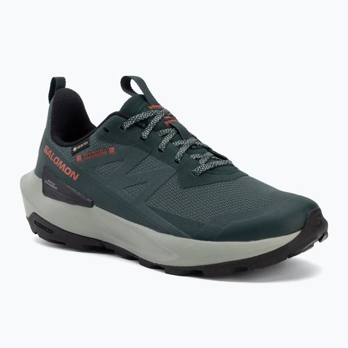 Pánske turistické topánky Salomon Elixir Activ GTX scarab/green gable