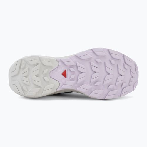 Dámske turistické topánky Salomon Elixir Activ GTX shskin/glacier gray/opetal