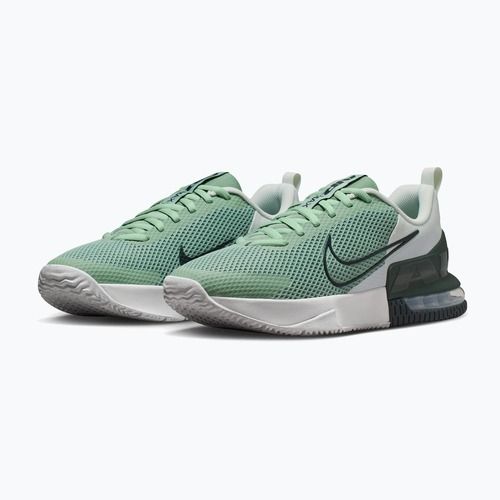 Pánske tréningové topánky Nike Air Max Alpha Trainer 6 steam/spruce aura/off white/black spruce