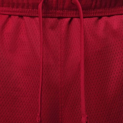 Pánske šortky  Jordan Sport Essentials Dri-Fit gym red
