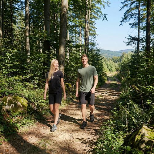 Pánska trekkingová tričko KADVA TrailCore priedušné zelené
