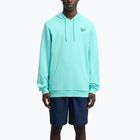 Pánska mikina Reebok Identity Small Logo Hoodie ai aqua