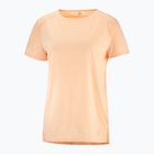 Dámske trekingové tričko Salomon Outline Summer SS oranžové LC17945