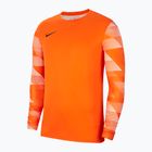 Pánska futbalová mikina Nike Dri-Fit Park IV orange CJ6066-819