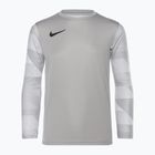 Detské brankárske tričko Nike Dri-FIT Park IV pewter grey/white/black